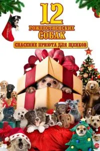 12 рождественских собак: Спасение приюта для щенков
